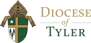 logo62